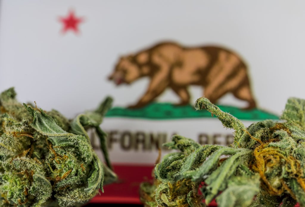 Obtaining a Cannabis Business License in California