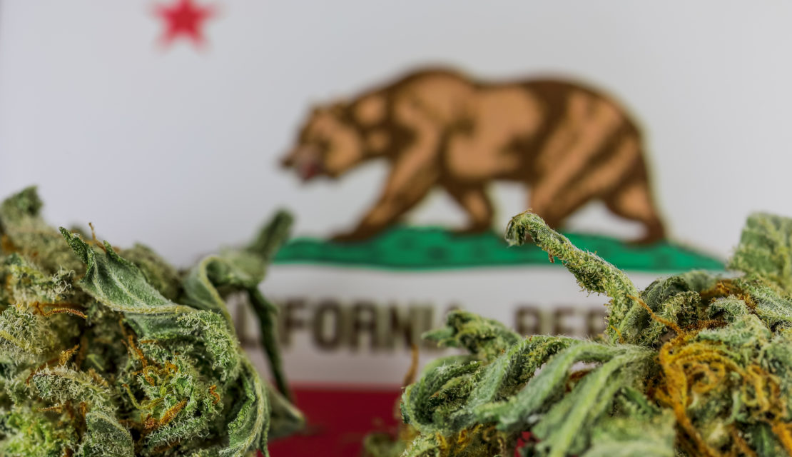 Obtaining a Cannabis Business License in California