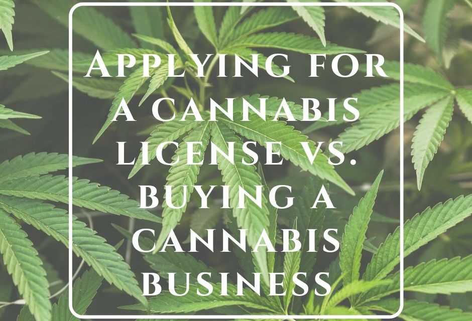 Should You Apply For a Cannabis License or Buy a Licensed Cannabis Business?