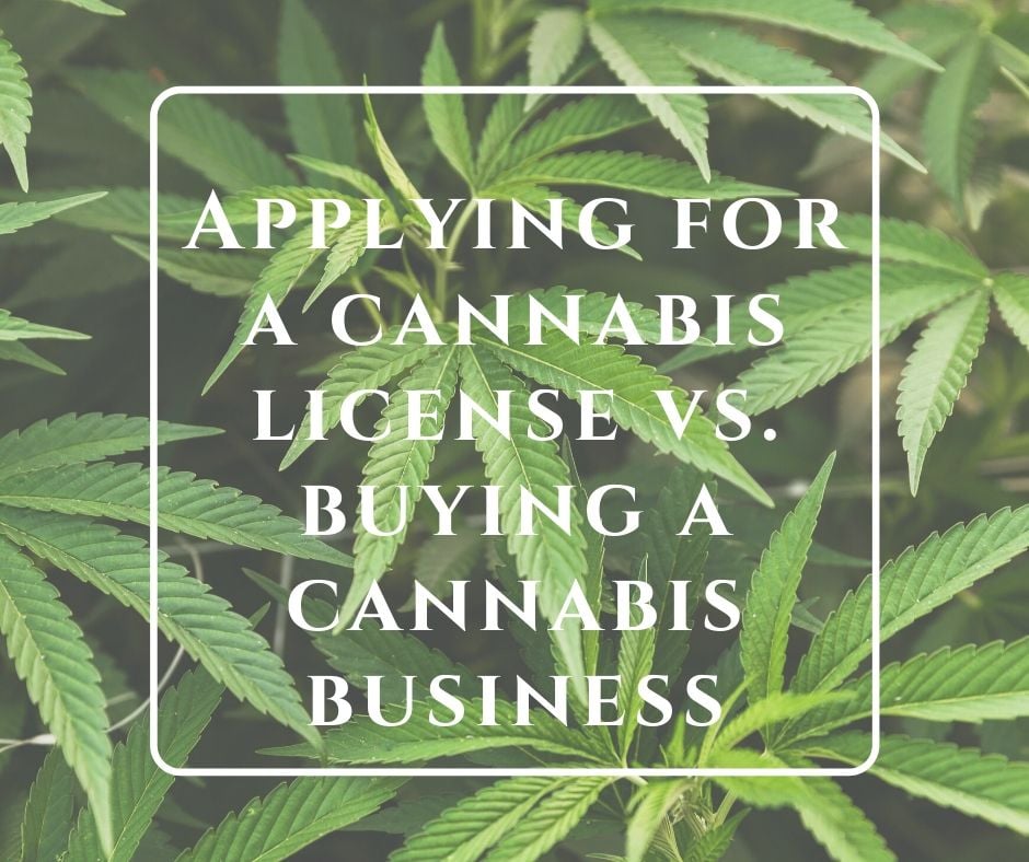 Should You Apply For a Cannabis License or Buy a Licensed Cannabis Business?