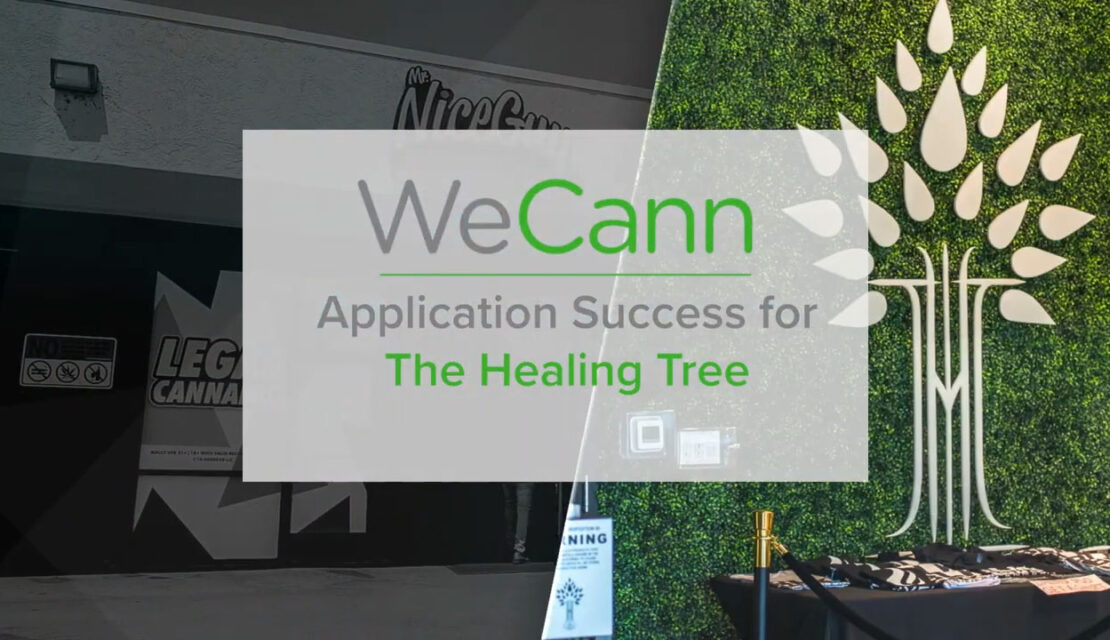 Client Story: The Healing Tree (VIDEO)