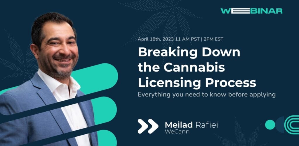 Breaking Down the Cannabis Licensing Process with Meilad Rafiei - Kaya Cast Podcast