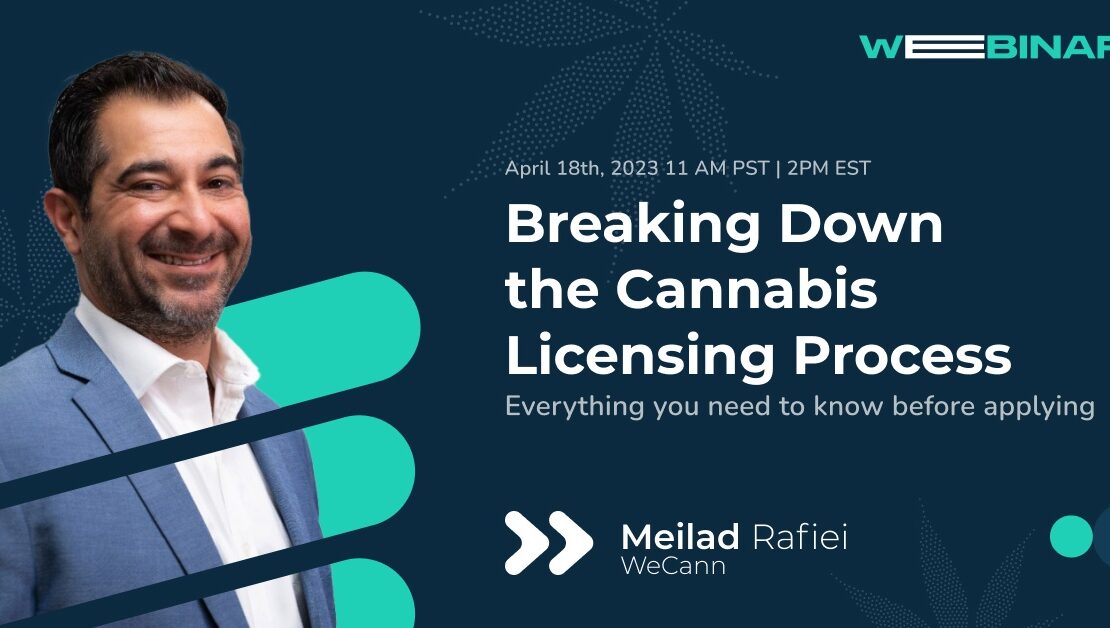 Breaking Down the Cannabis Licensing Process with Meilad Rafiei – Kaya Cast Podcast