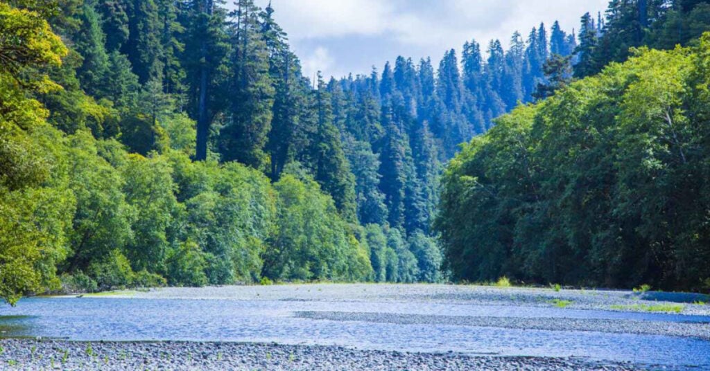 IN ESCROW - 33 Acres | Humboldt County | 9.4MW Power | Build-Ready Site