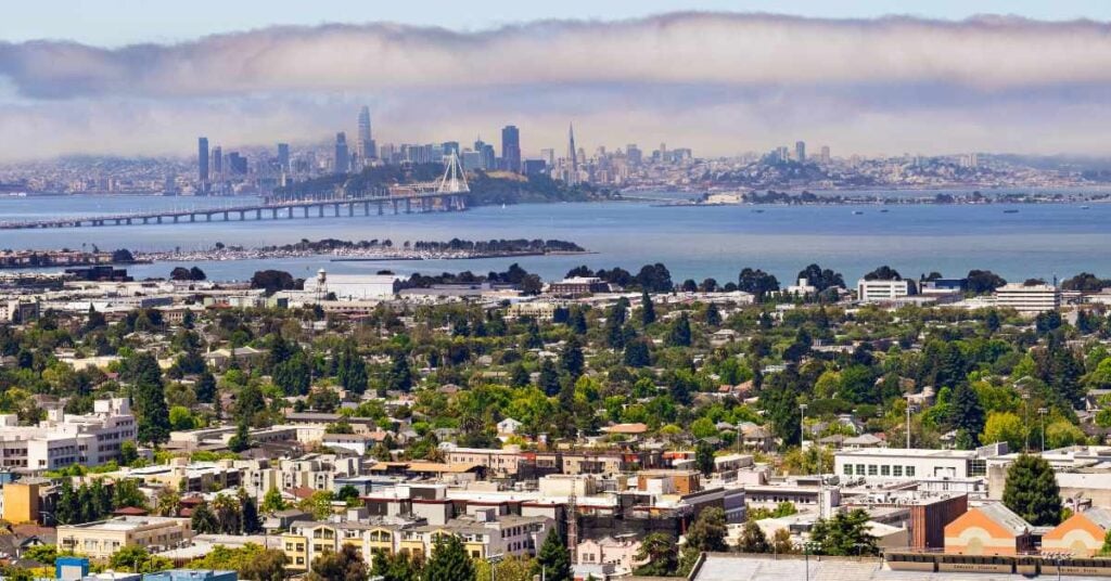 Operational Delivery Business for Sale in East Bay