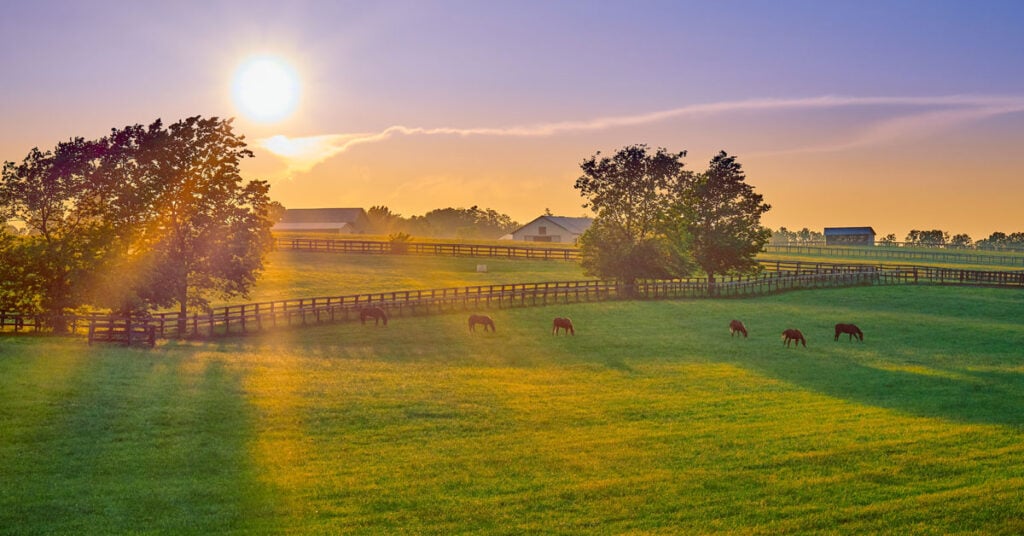 Kentucky Cannabis Licensing Update: Retail Approvals, Market Trends & Regional Analysis