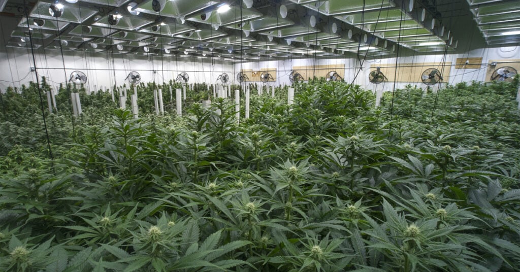 Turnkey Sacramento Microbusiness Opportunity