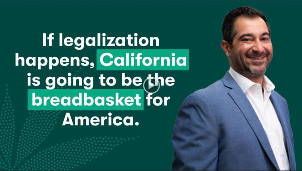 Featured on Kaya Cast Podcast: Inside the Cannabis Business with Meilad Rafiei