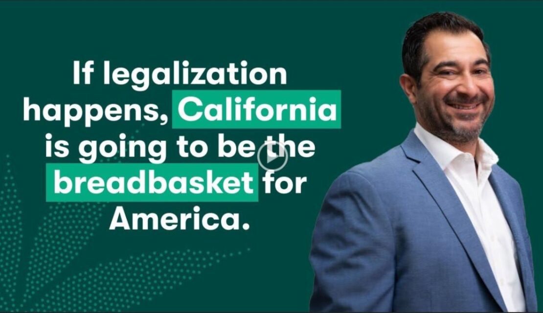 Featured on Kaya Cast Podcast: Inside the Cannabis Business with Meilad Rafiei