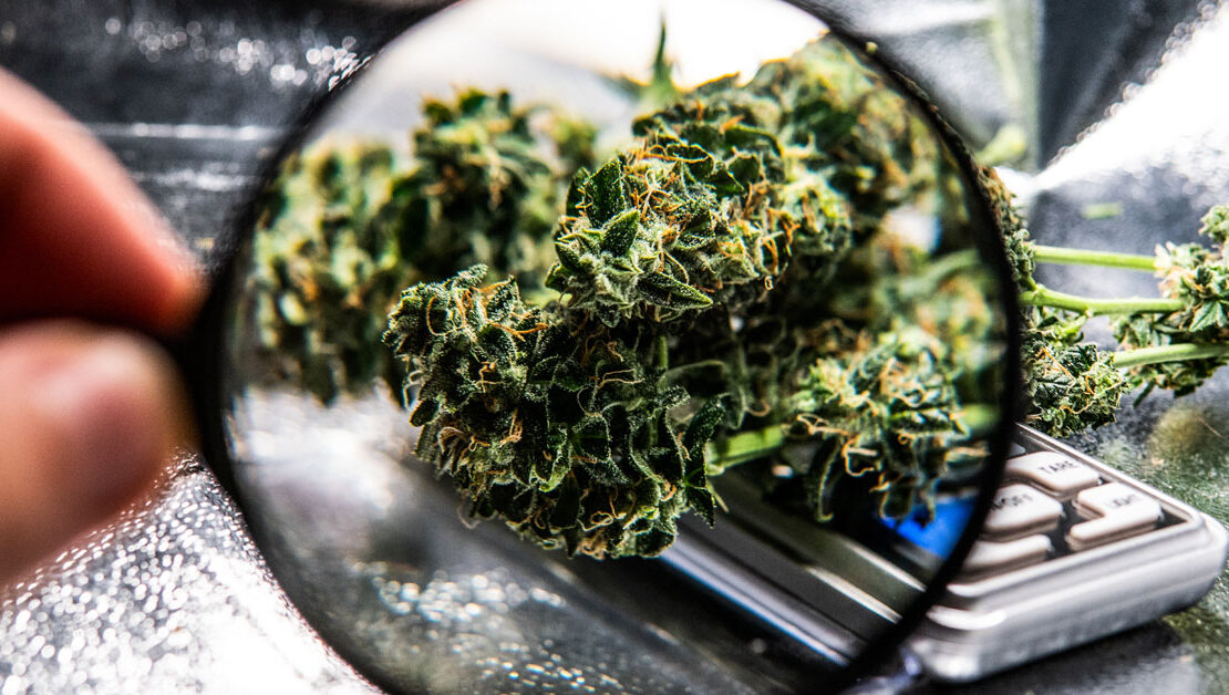 Mark My Words: Something is Afoot in Cannabis Legalization