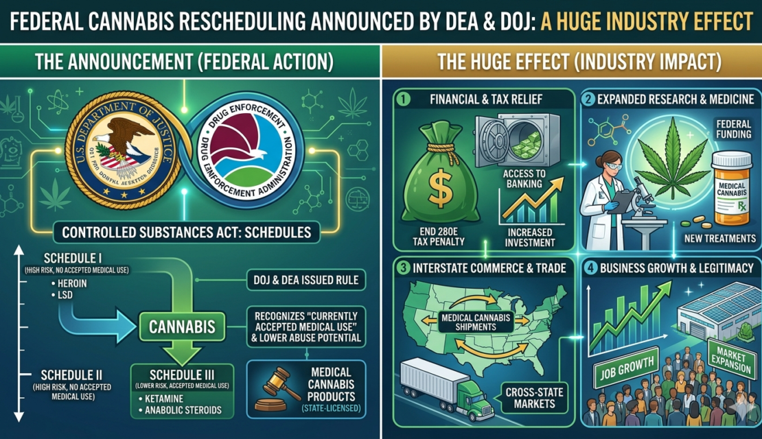 Federal Cannabis Rescheduling Is Here: What It Means for Cannabis Operators